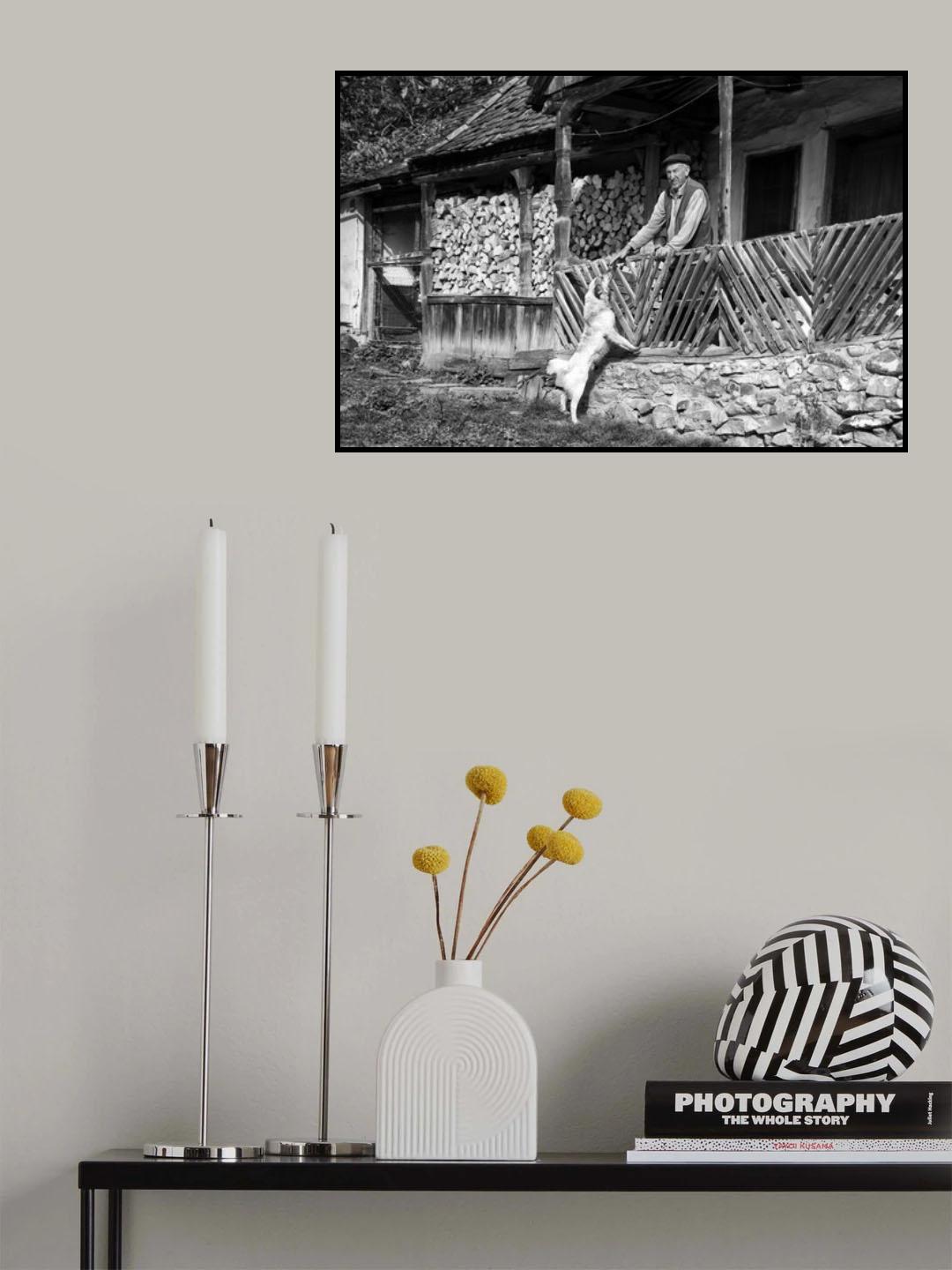 Dog-fancier Poster och Canvastavla