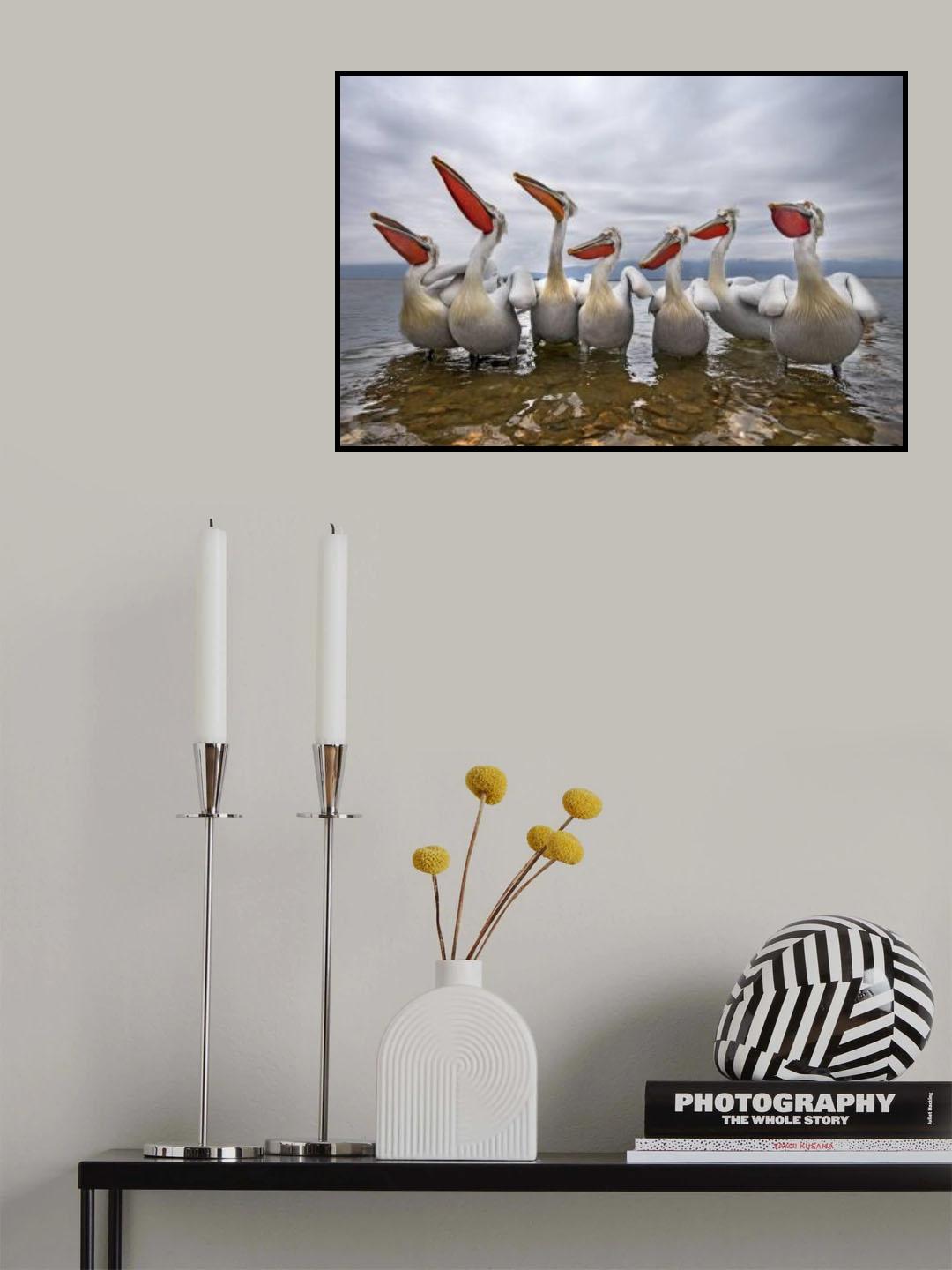 Waiting for a fish Poster och Canvastavla