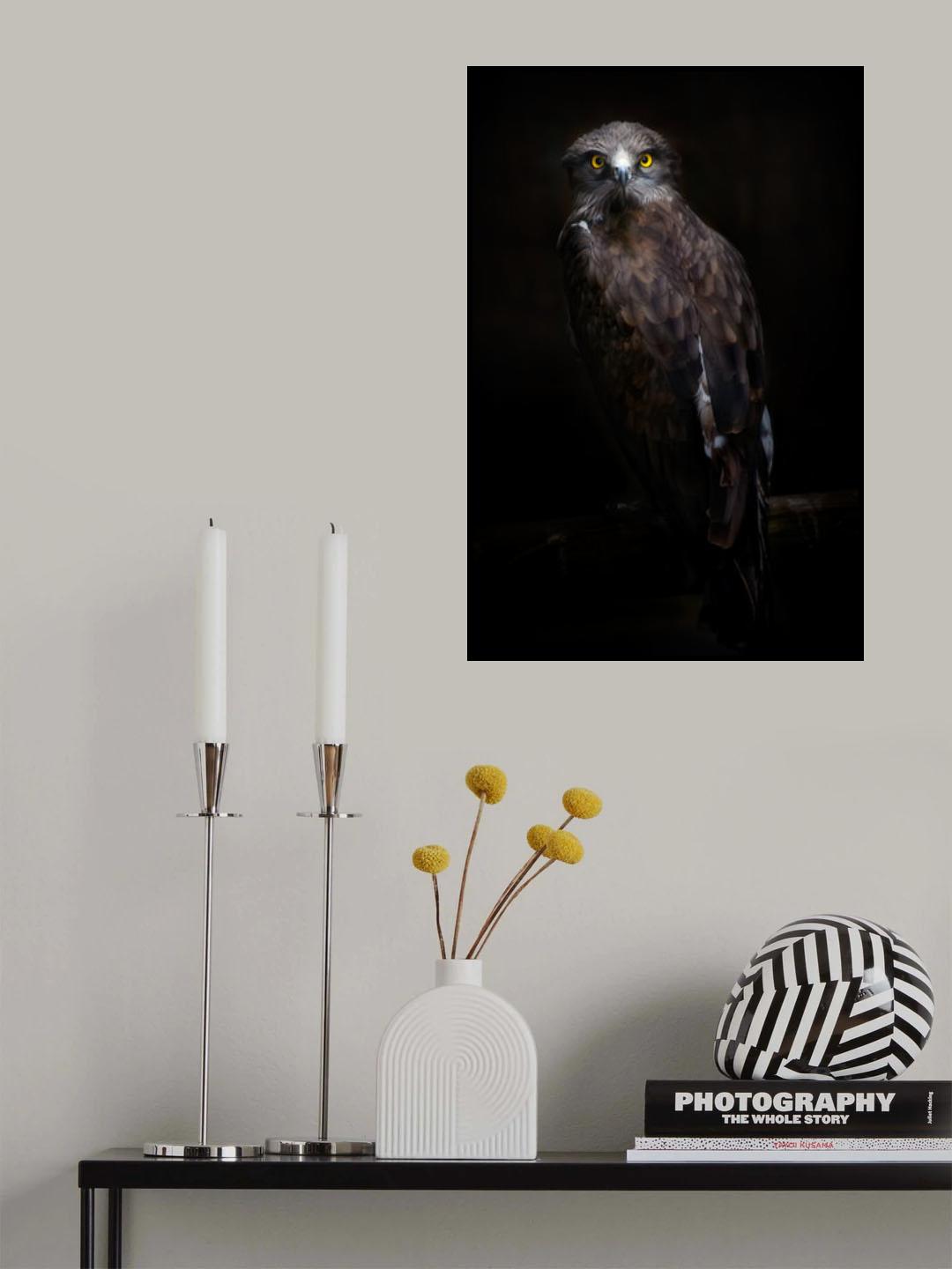 Yellow look Poster och Canvastavla