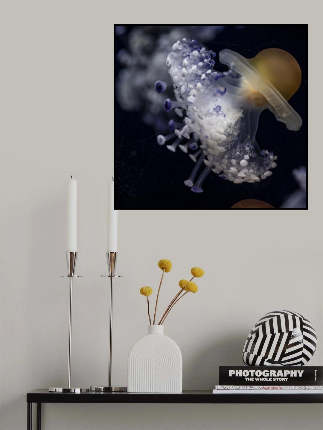 Jellyfish Poster och Canvastavla