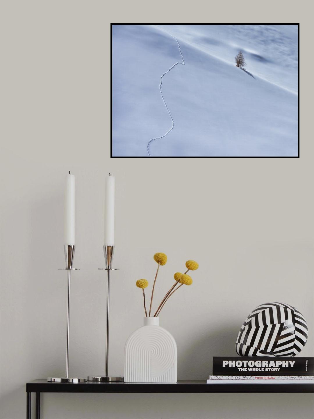 The path Poster och Canvastavla