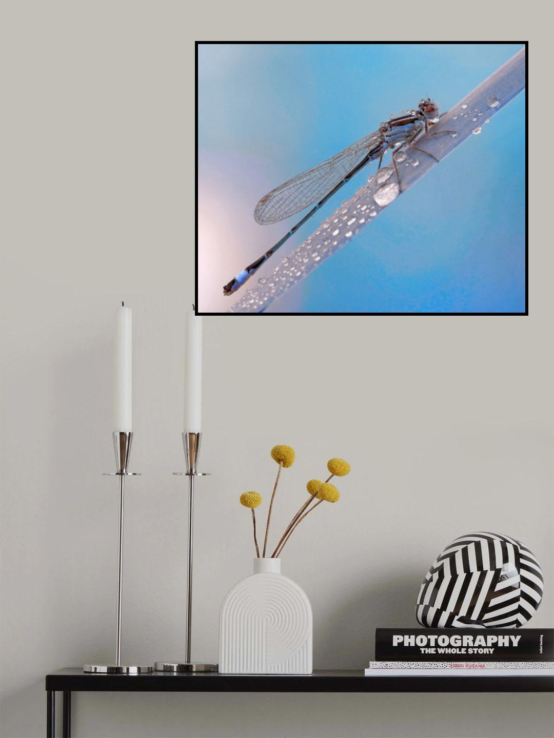 A rainy summer morning... Poster och Canvastavla