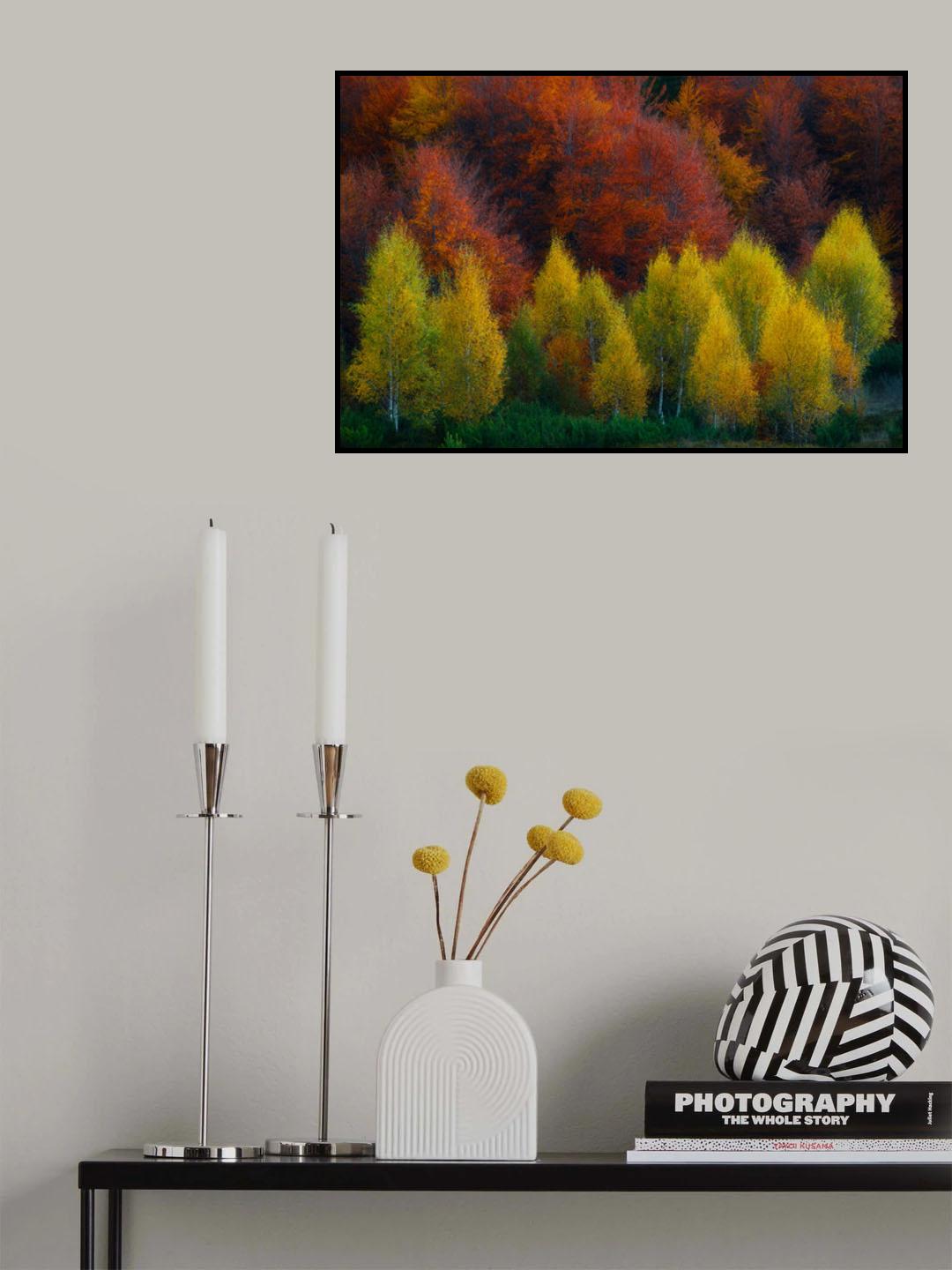 Nimbrethil Poster och Canvastavla