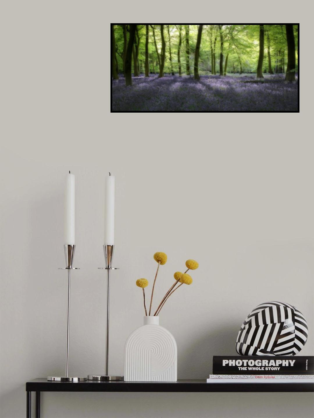 Evening Bluebells Poster och Canvastavla
