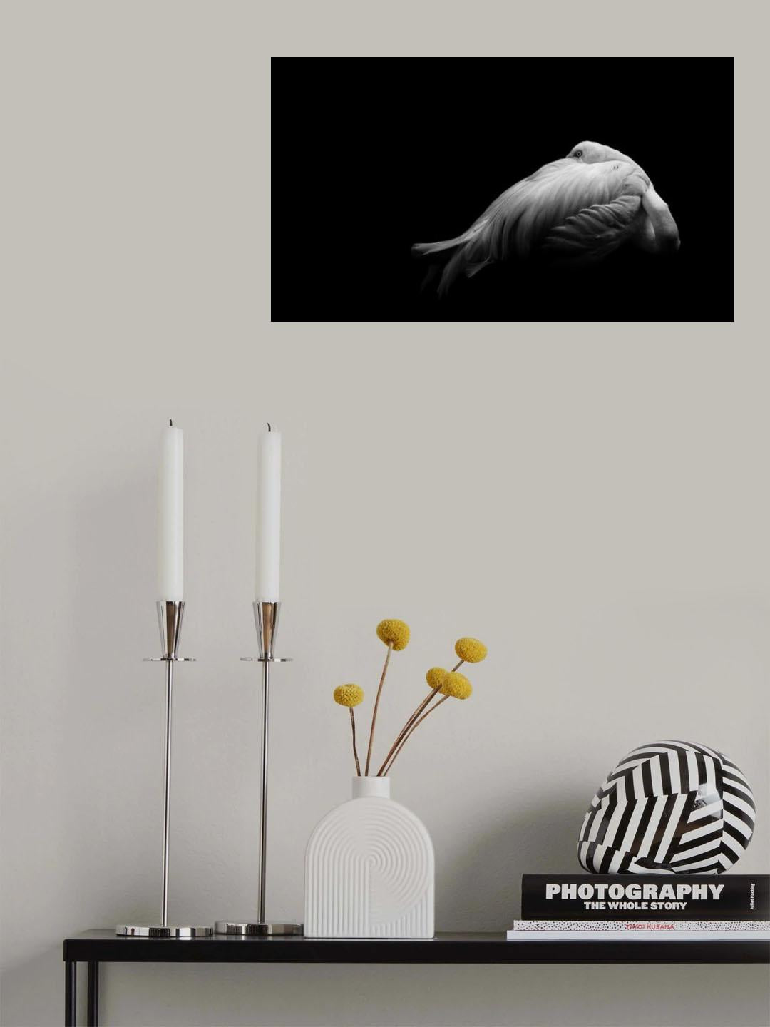 Beauty in Dark Poster och Canvastavla