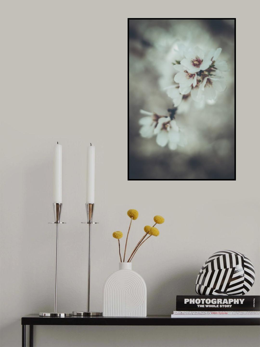 Almond Blossoms Poster och Canvastavla