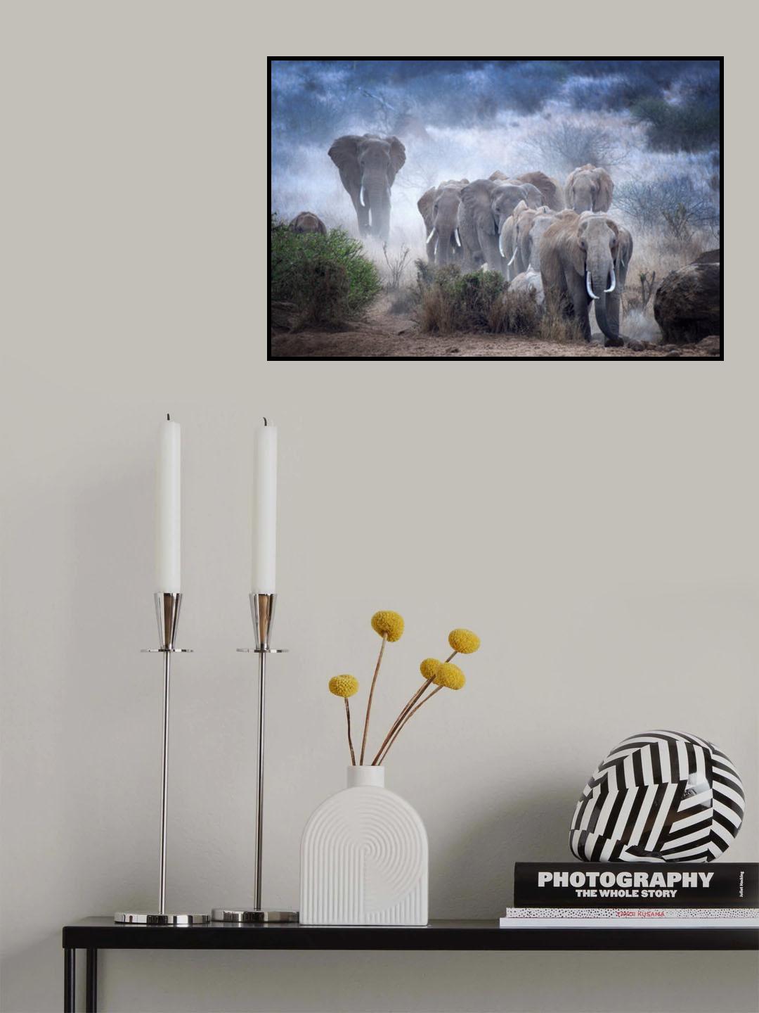 Elephants of Amboseli Poster och Canvastavla