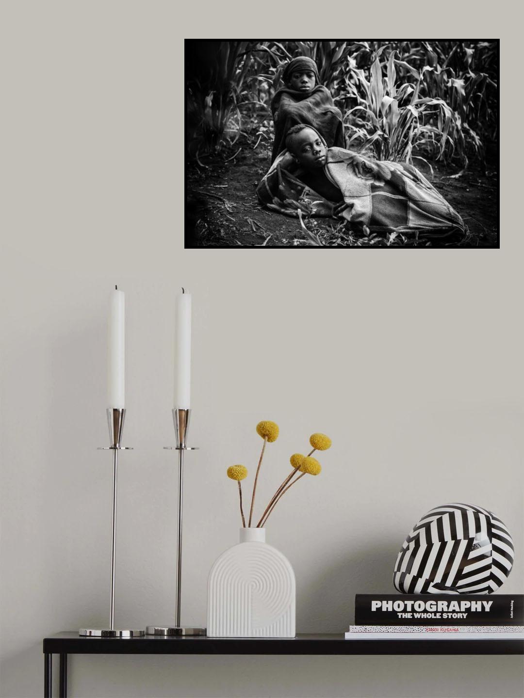 Boys in corn Poster och Canvastavla