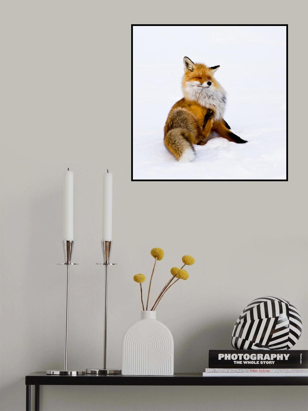 Winterfox Poster och Canvastavla