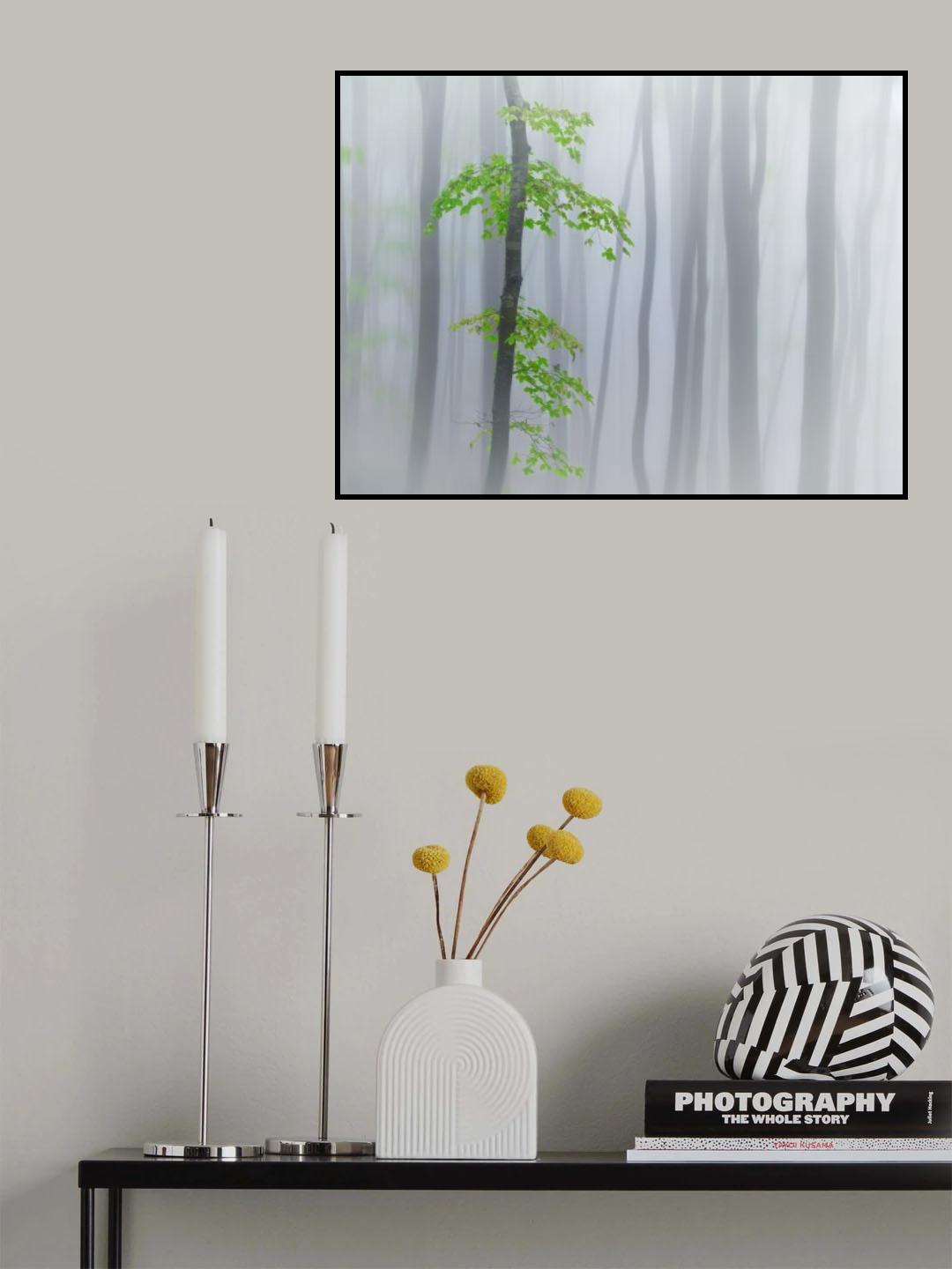 the fog and leaves Poster och Canvastavla