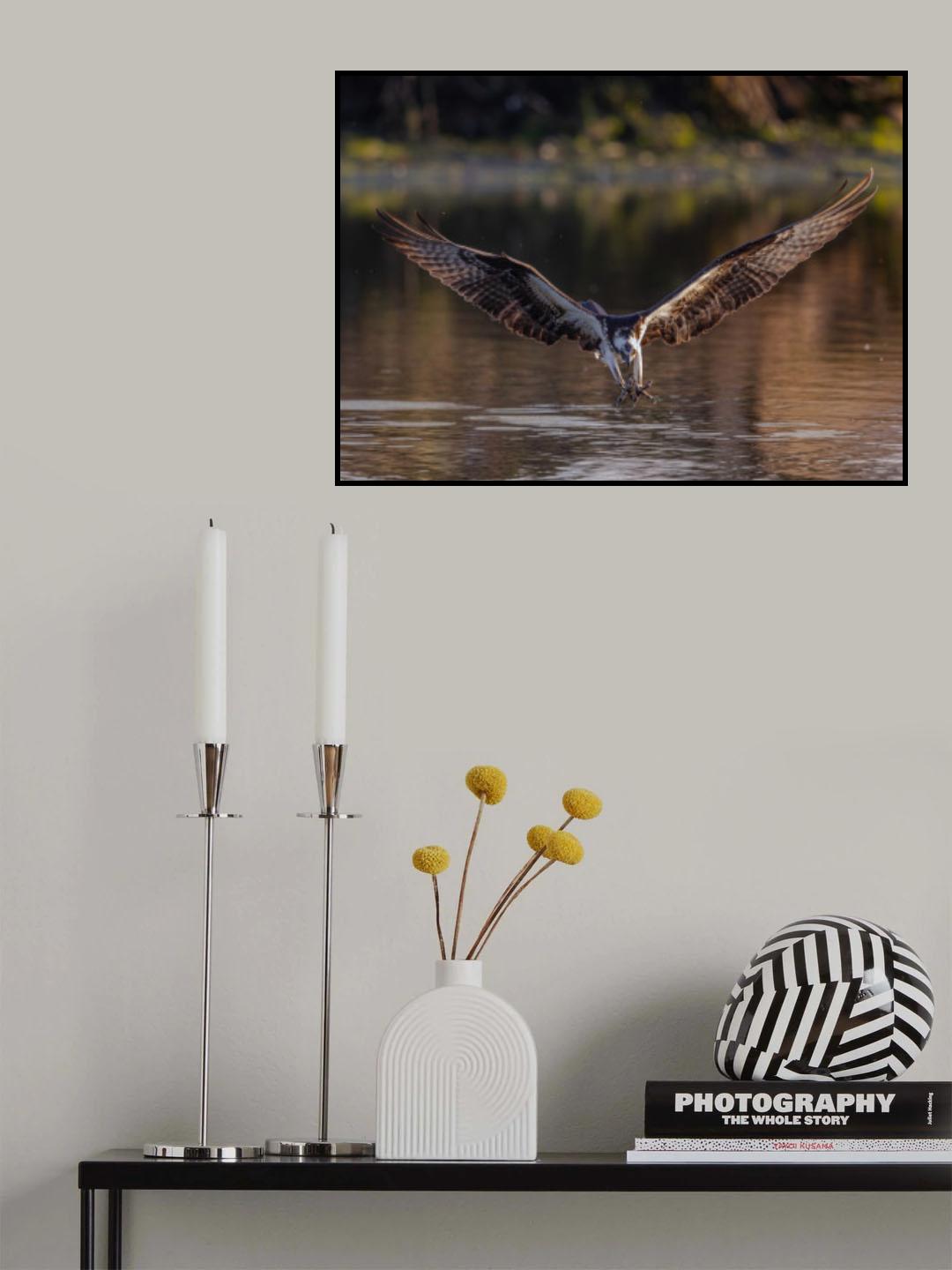 Aiming! Poster och Canvastavla