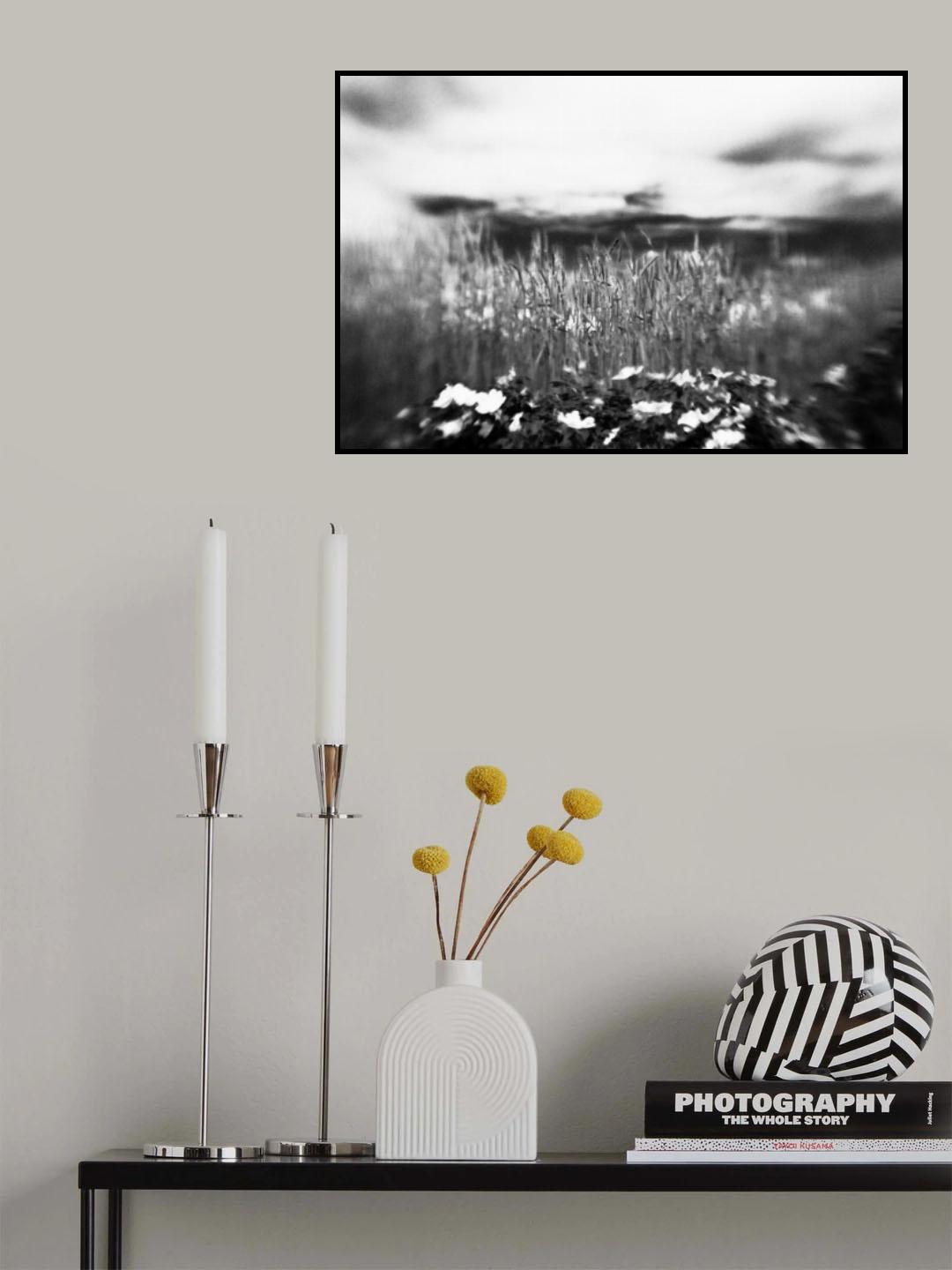 Poster och Canvastavla