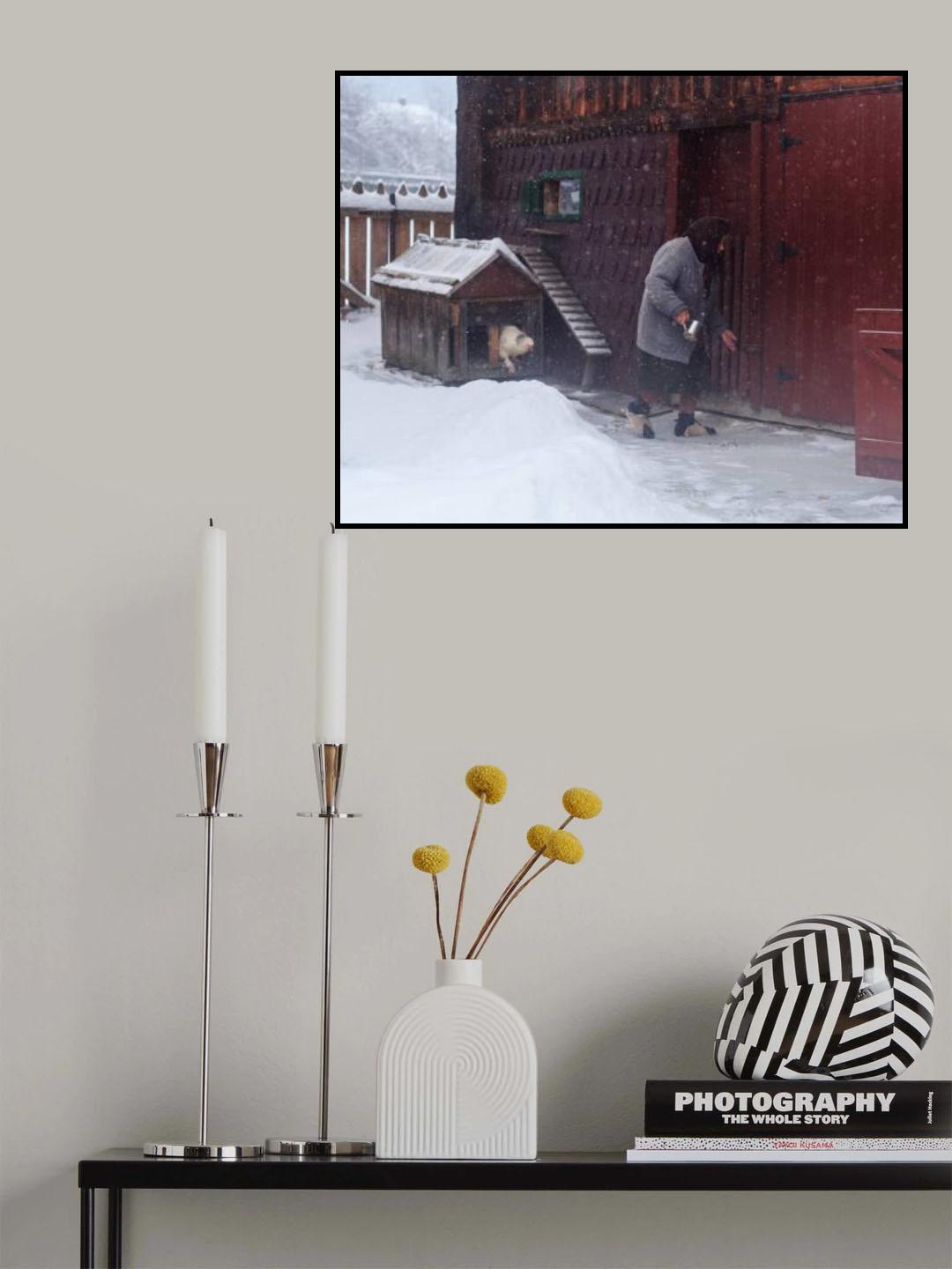 Poster och Canvastavla