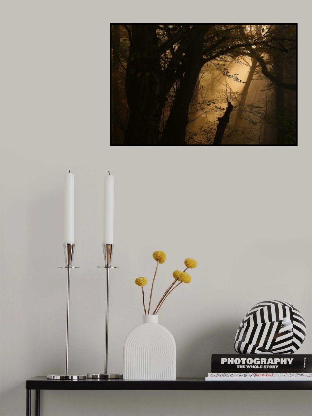 Colors Of Fall Poster och Canvastavla