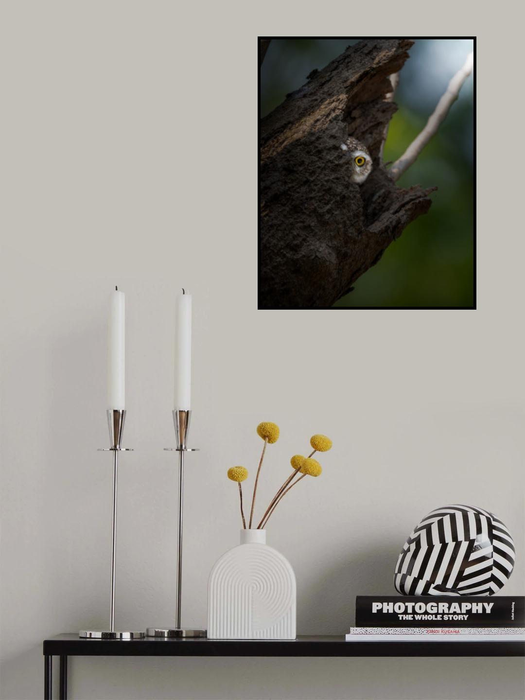 Peekaboo! Poster och Canvastavla