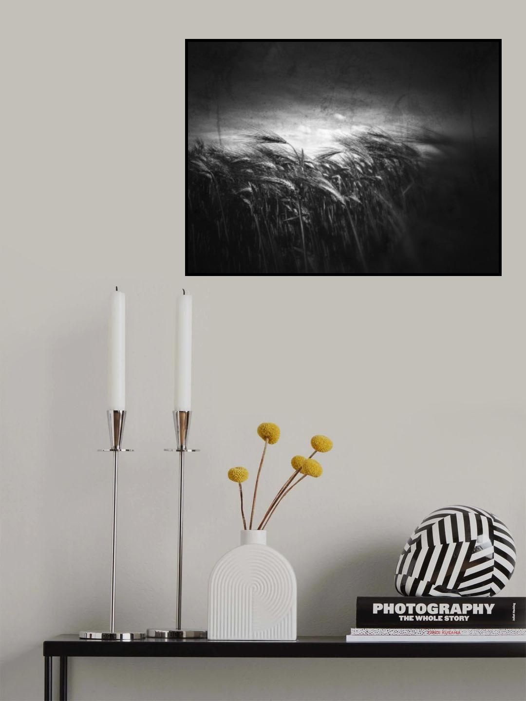 When the silence begins to tell Poster och Canvastavla