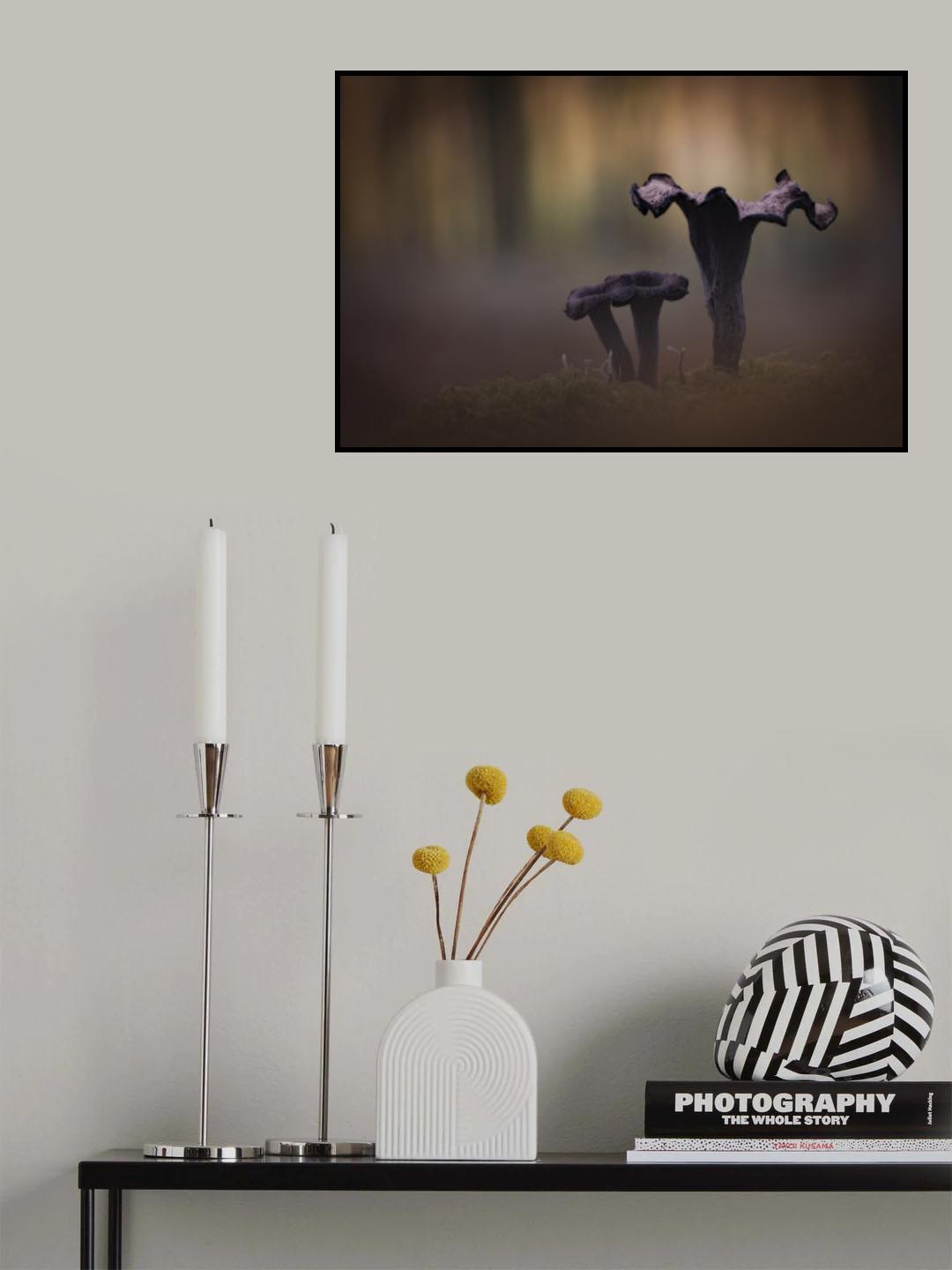 Horn of Plenty ( Craerllus Cornucopioides ) Poster och Canvastavla