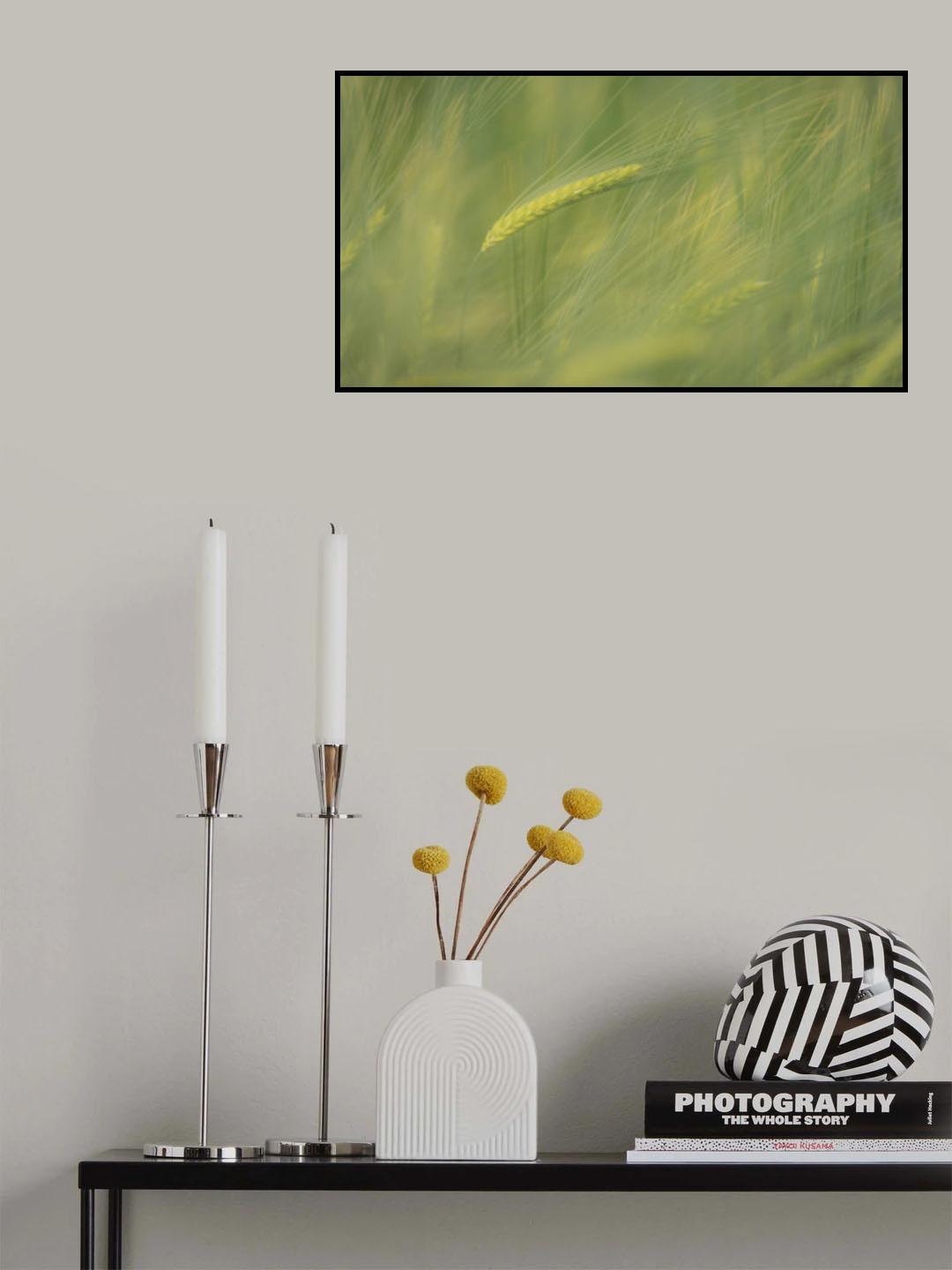 Silky Poster och Canvastavla
