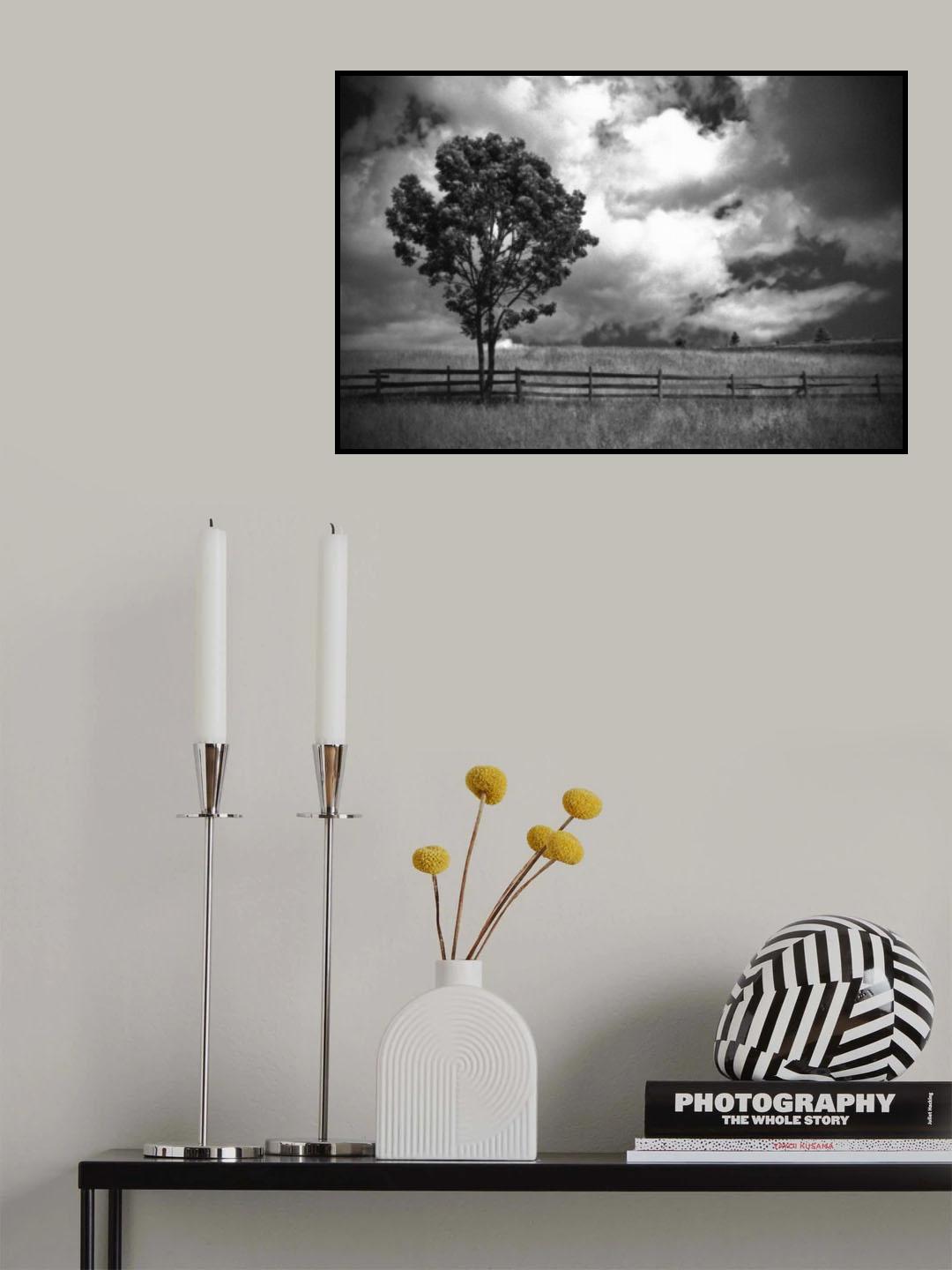 Poster och Canvastavla