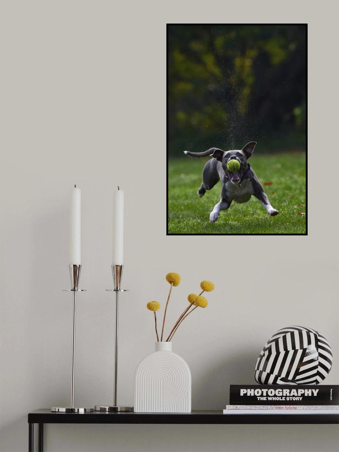 Catch the moment. Poster och Canvastavla