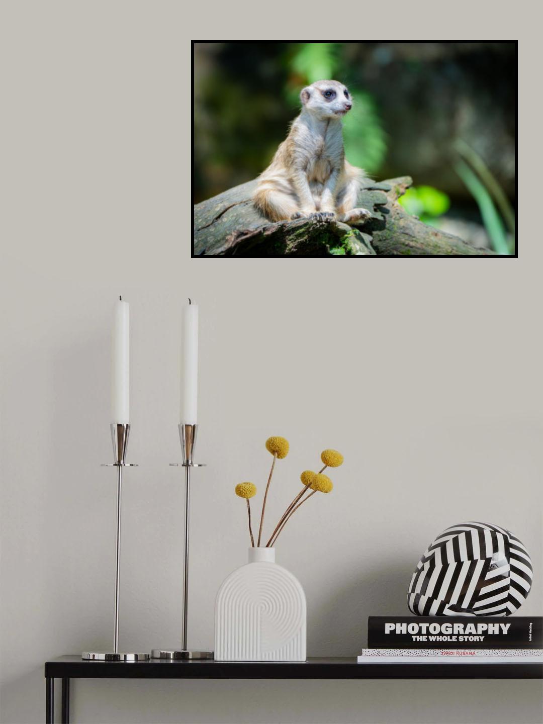 Rest Poster och Canvastavla