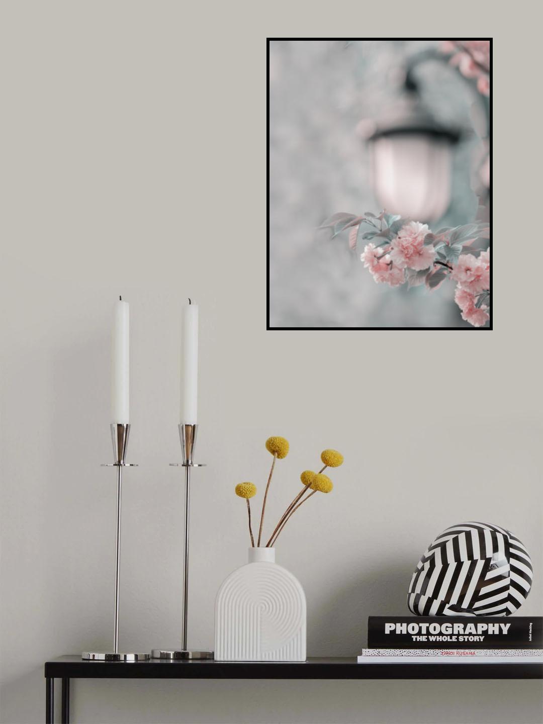 Cherry blossom under street lamp Poster och Canvastavla