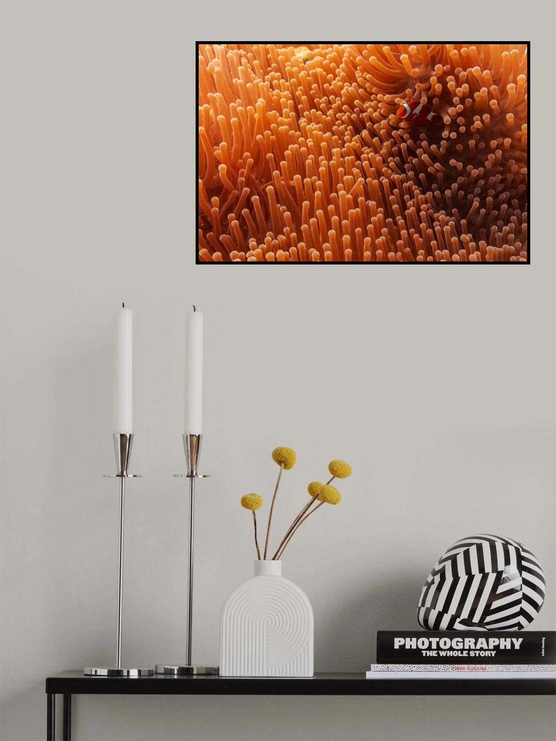 Hide and Seek Poster och Canvastavla
