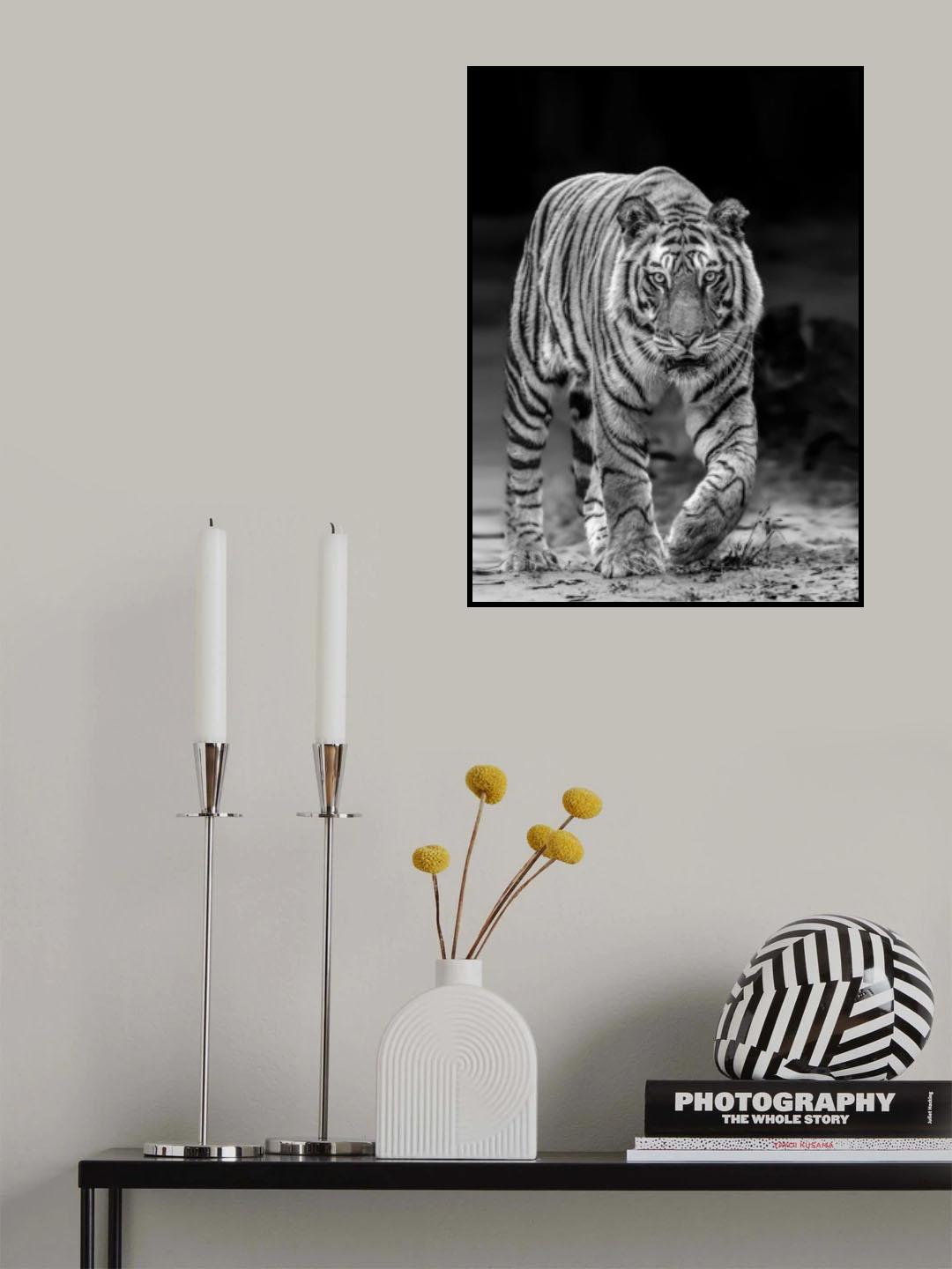 Tiger Head On Poster och Canvastavla