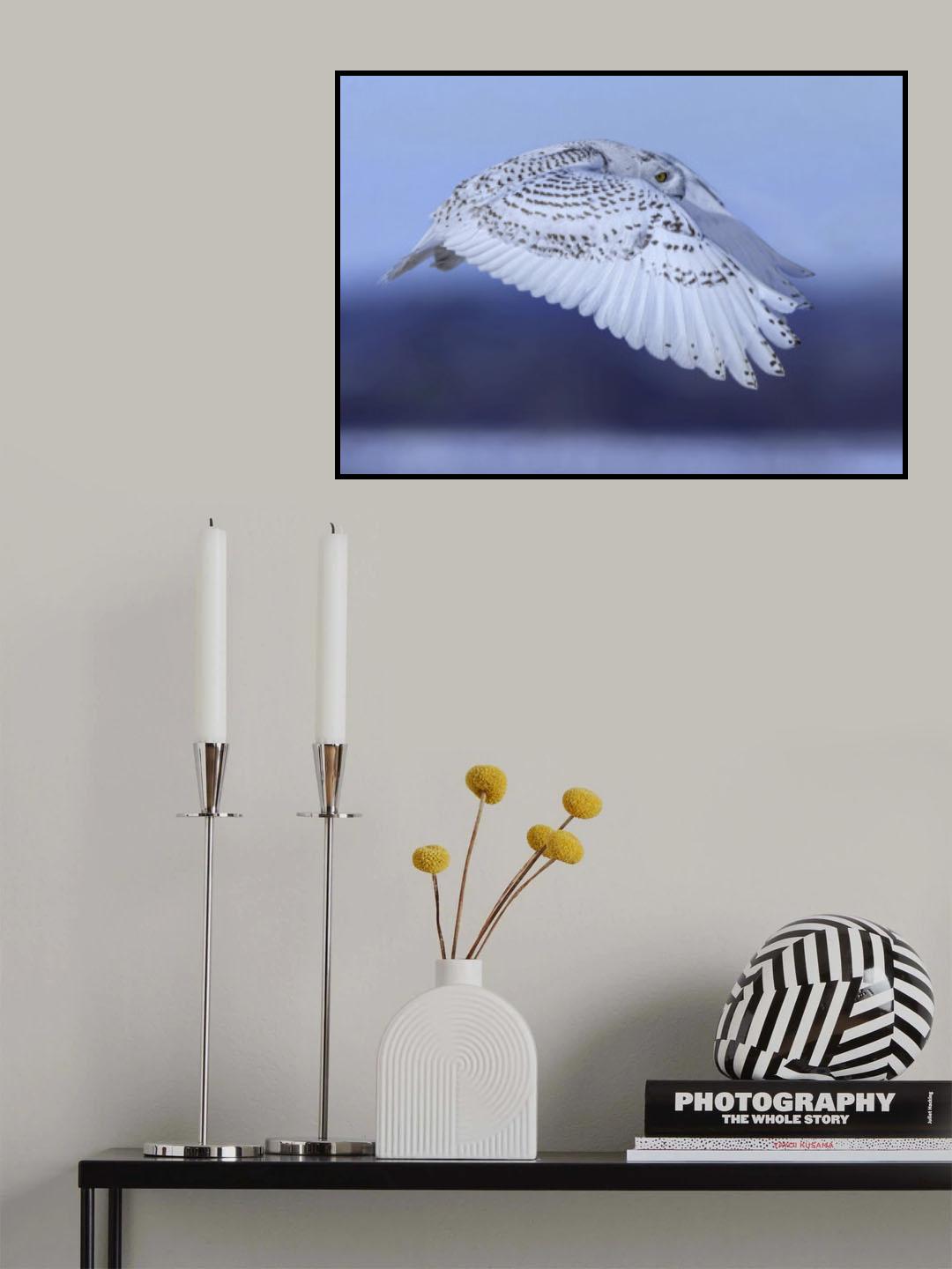 soaring Poster och Canvastavla