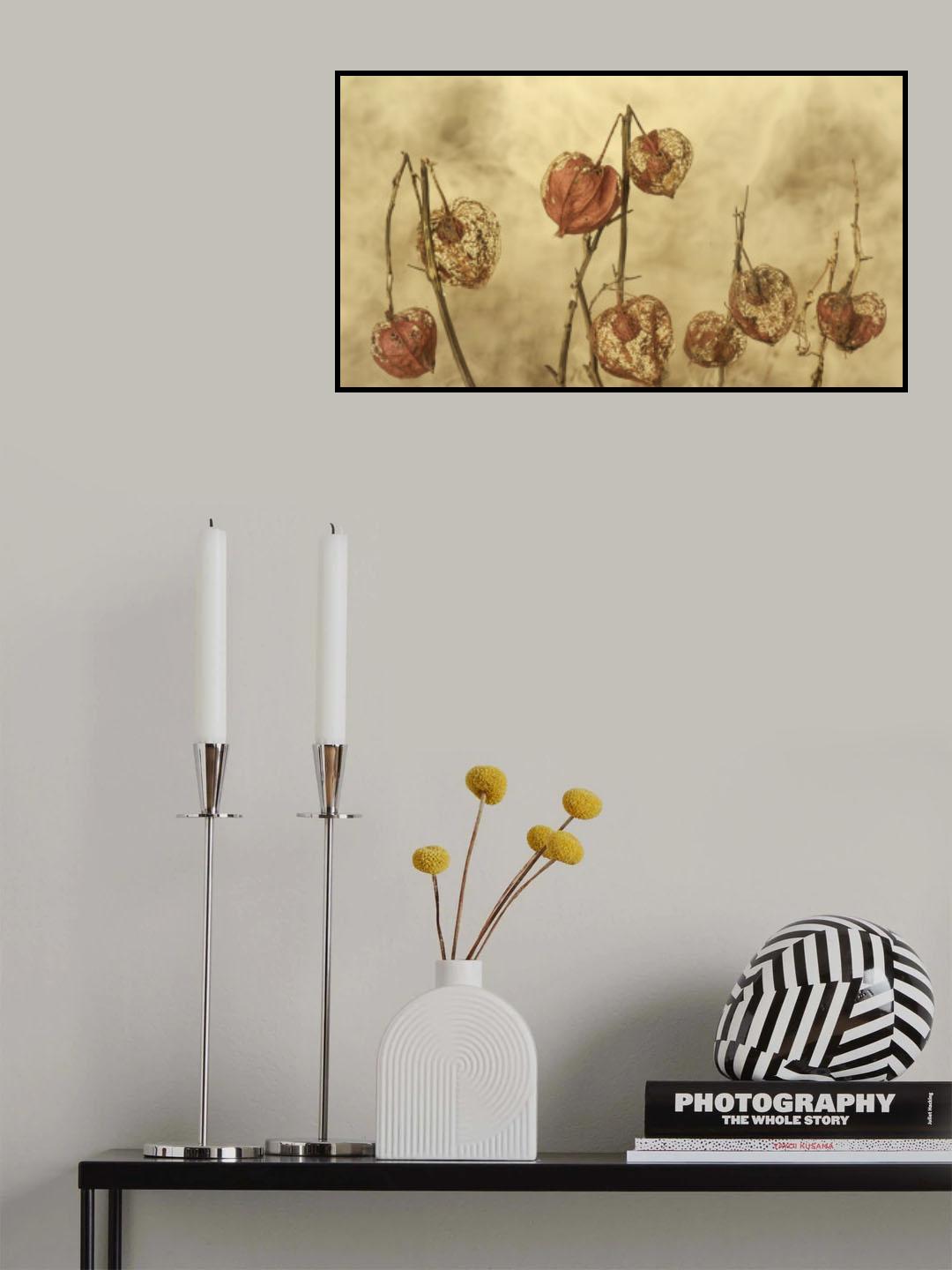 Physalis 2 Poster och Canvastavla