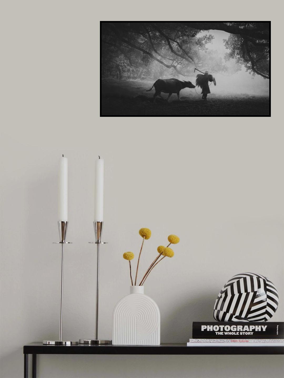 Synergy ... Poster och Canvastavla