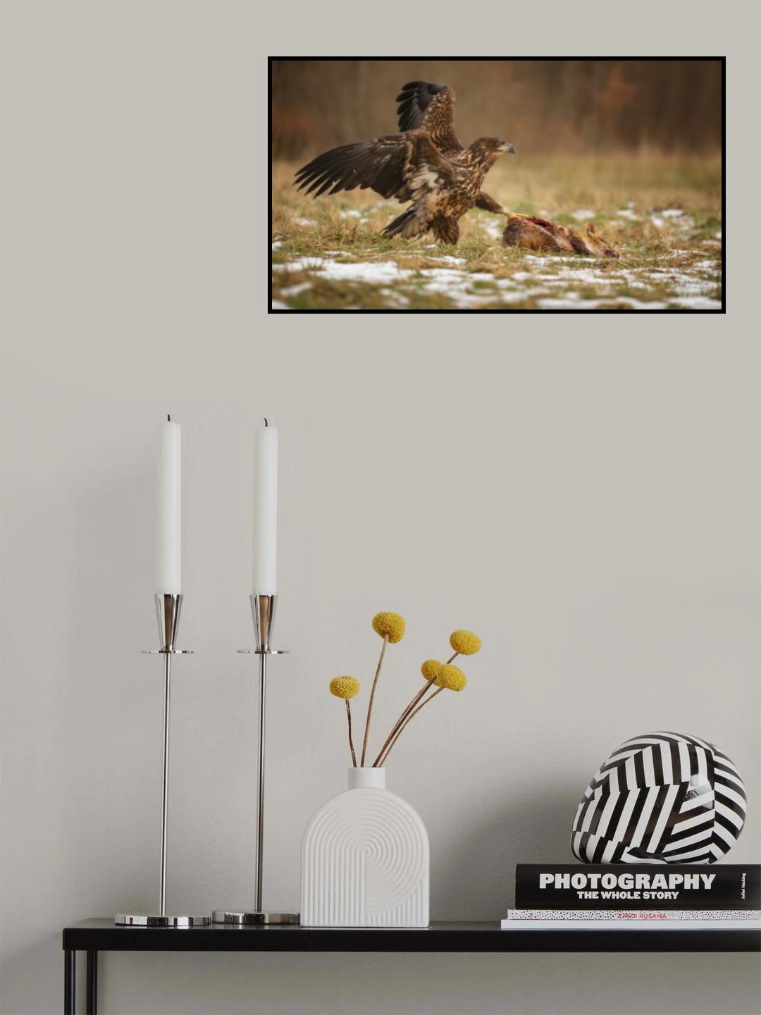 Fox for lunch Poster och Canvastavla