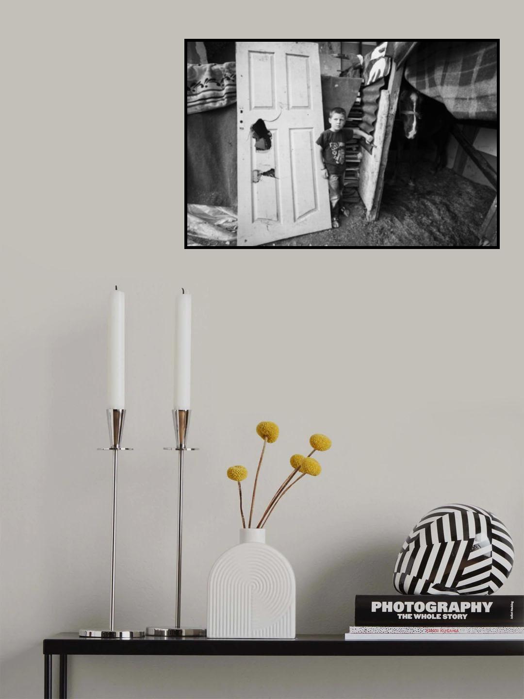horse Poster och Canvastavla