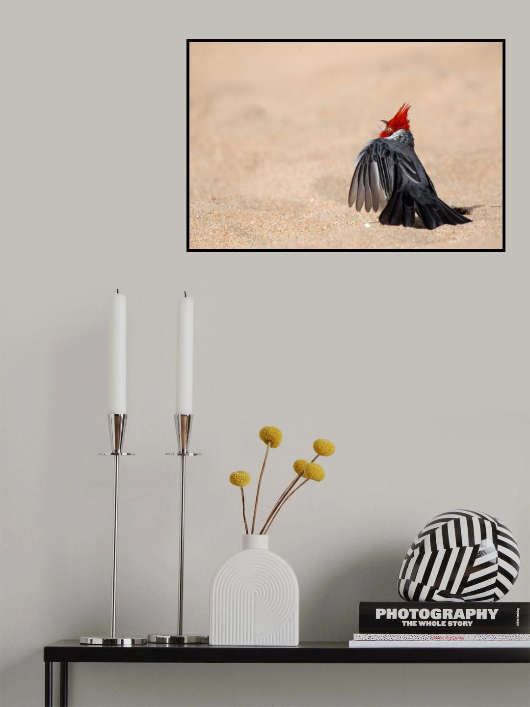 Dancing Bird Poster och Canvastavla