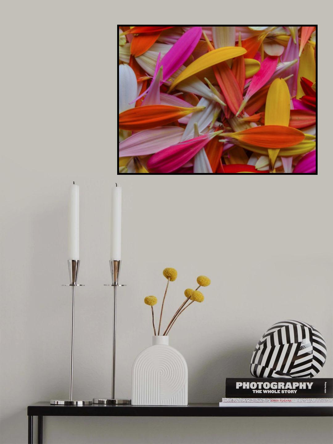 colorful flower petals Poster och Canvastavla