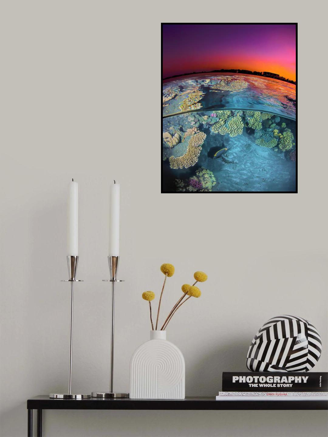 Dusk at the Red Sea Reef Poster och Canvastavla