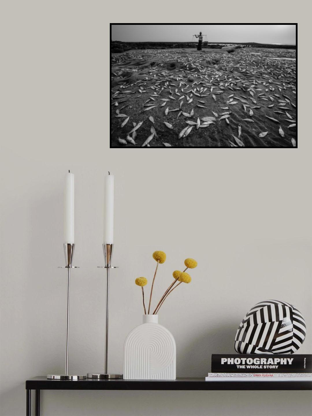 Sundry fishes Poster och Canvastavla