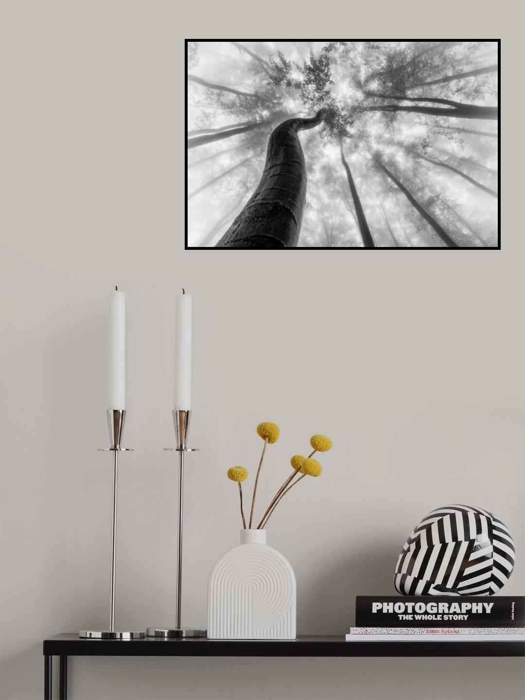 Up to the light Poster och Canvastavla