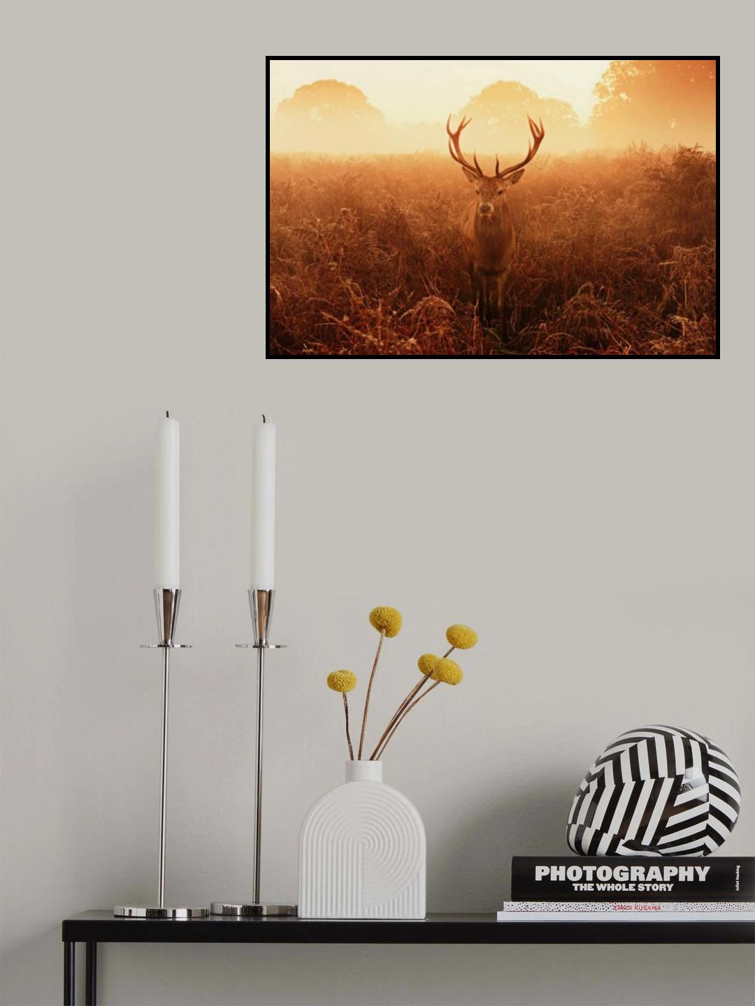 V^V Poster och Canvastavla