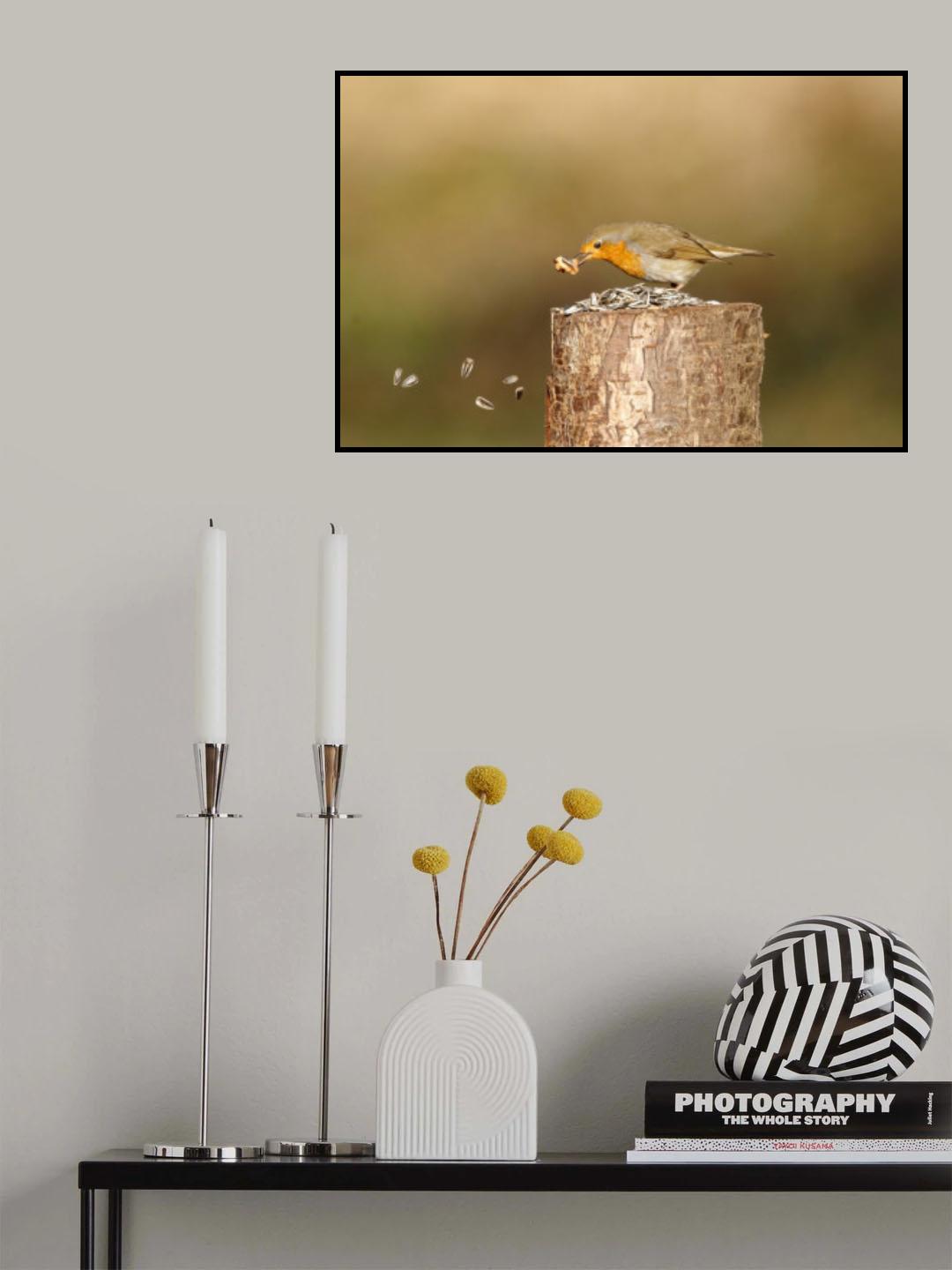 Pettirosso Poster och Canvastavla