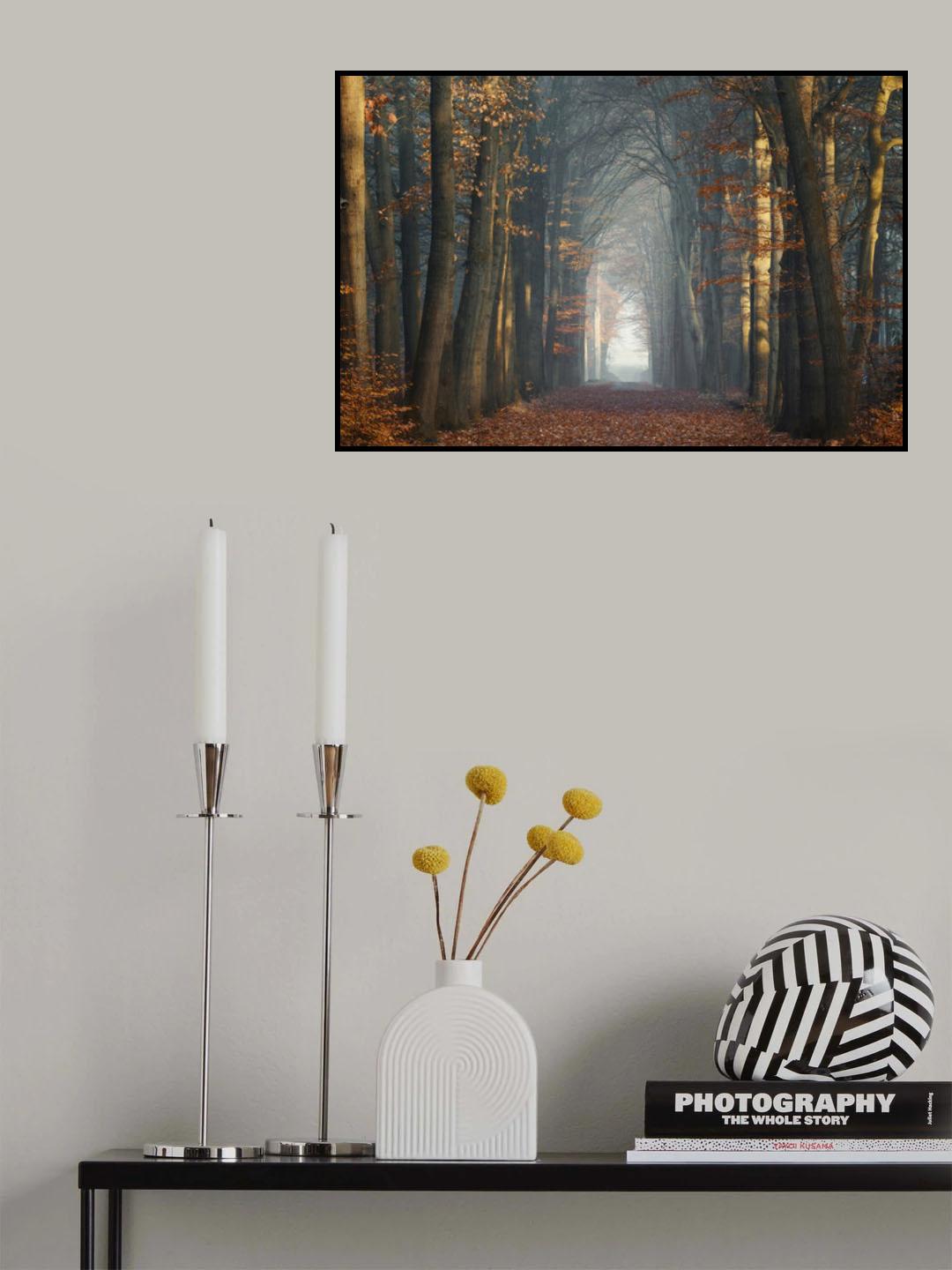 The sun rises and the mist begins to dissipate Poster och Canvastavla