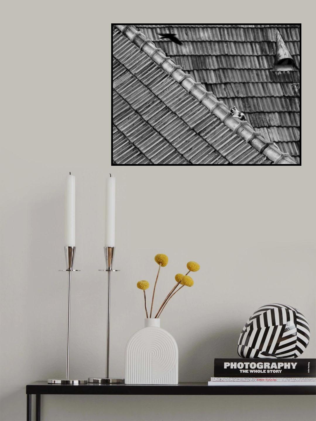 roof cat Poster och Canvastavla
