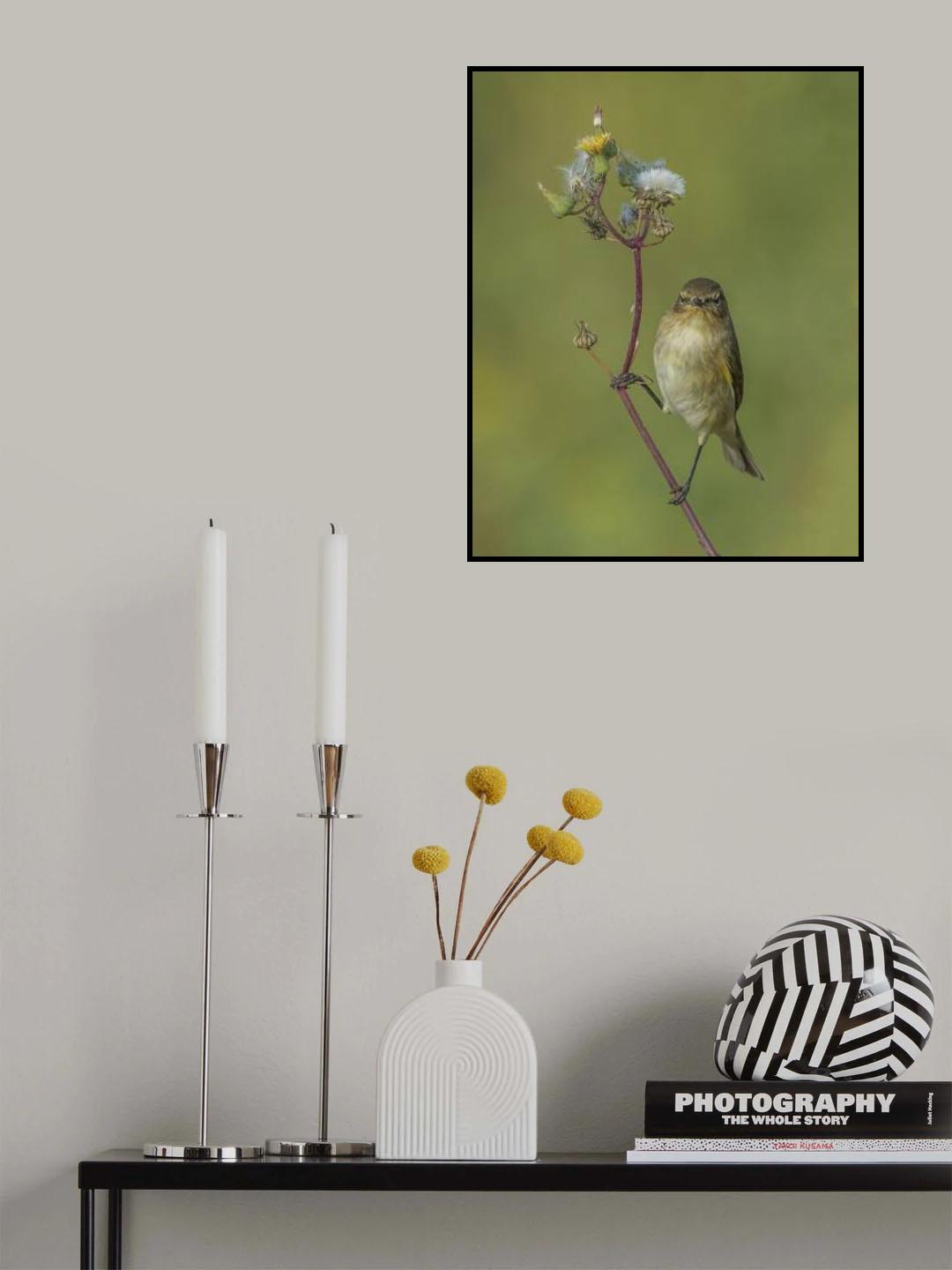 spring bird Poster och Canvastavla