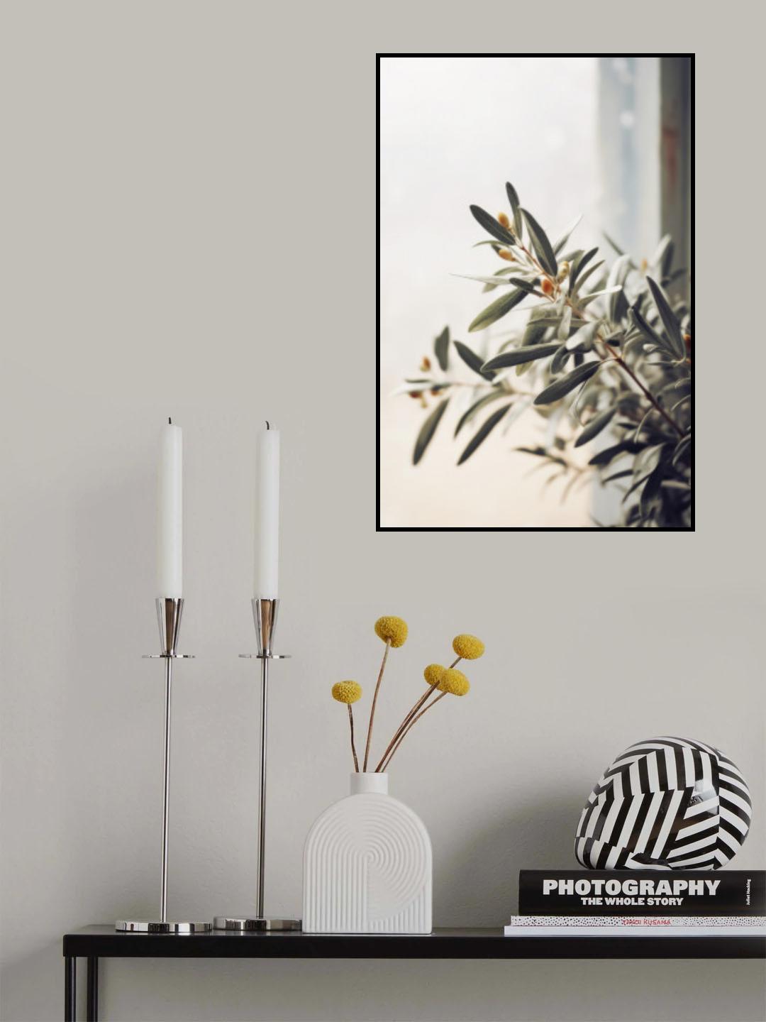 Wild Oives Poster och Canvastavla