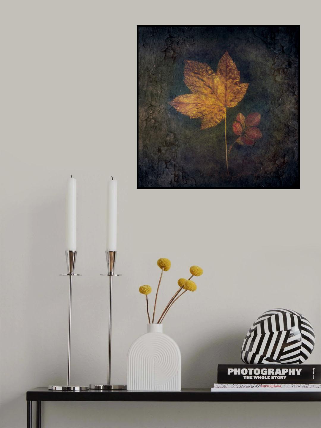 Embedded Poster och Canvastavla
