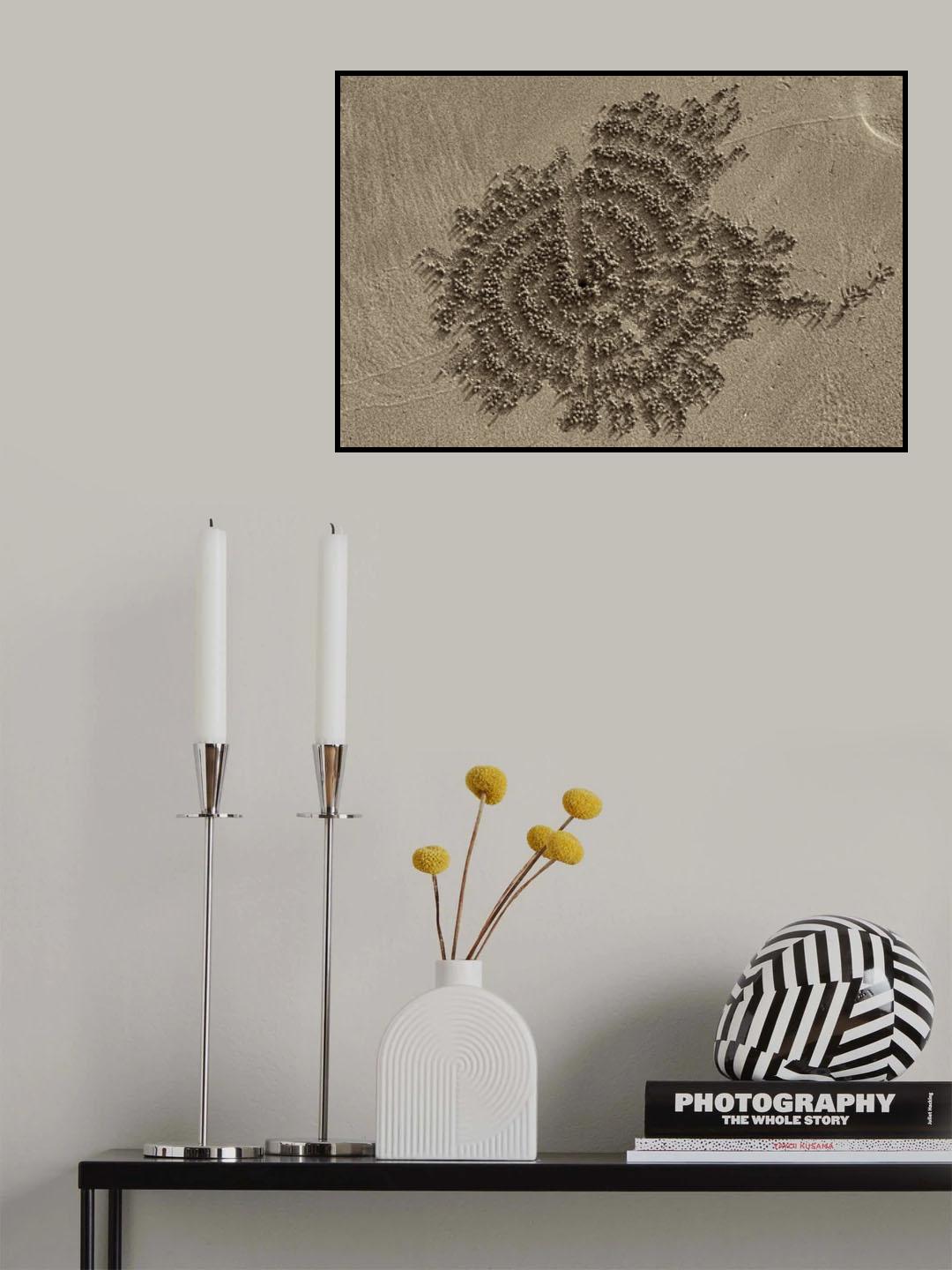 Art of a crab Poster och Canvastavla
