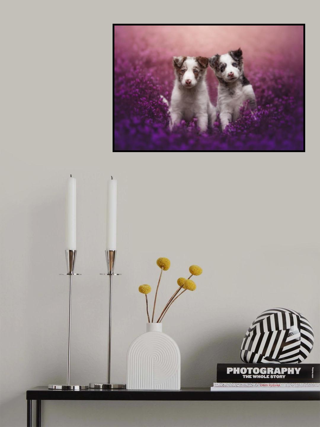 Brothers Poster och Canvastavla