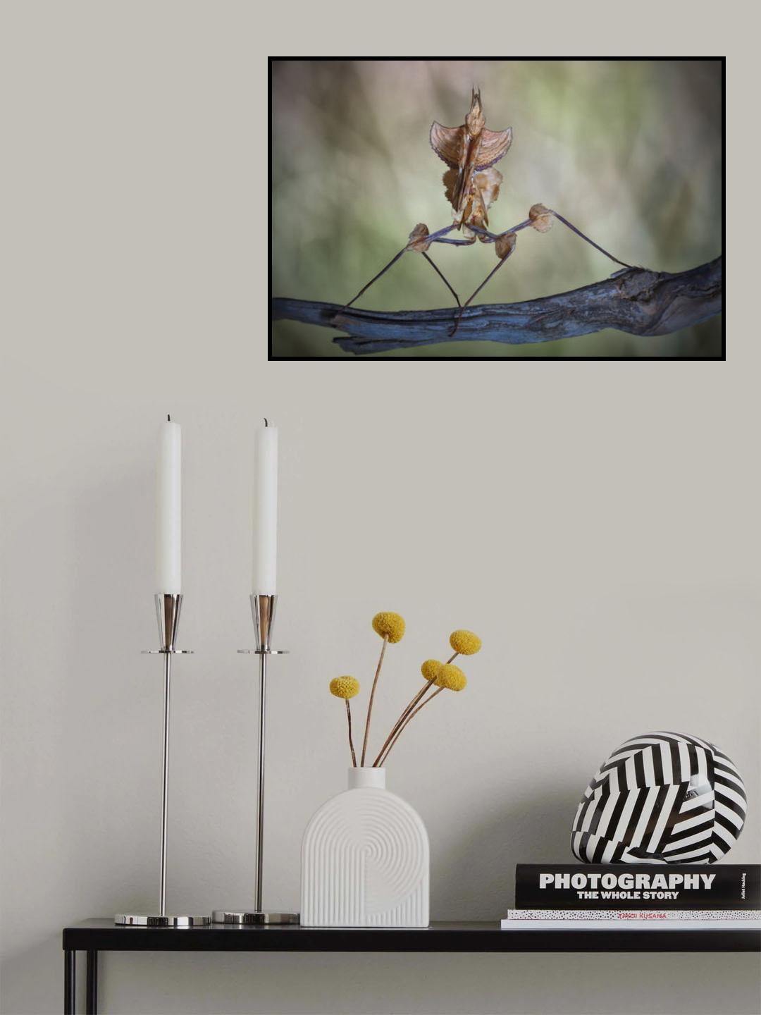 Mantis diabólica Poster och Canvastavla