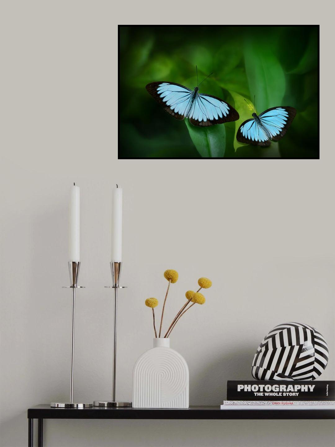 Kupu-kupu Poster och Canvastavla