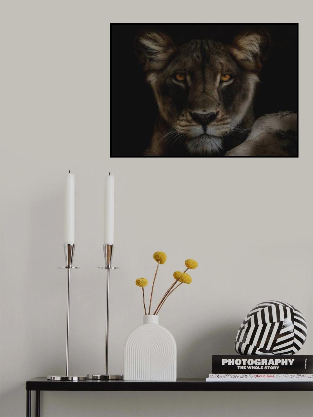Bold Poster och Canvastavla
